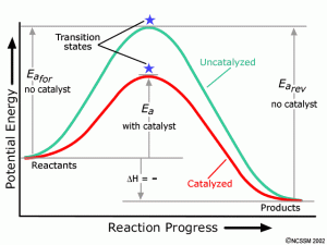 http://www.dlt.ncssm.edu/tiger/diagrams/kinetics/Catalyst-2.gif