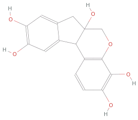 Hematoxyline
