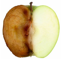 Bruinkleuring van appels