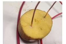 Elektrolyse in een aardappel