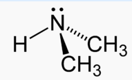 Dimethylamine