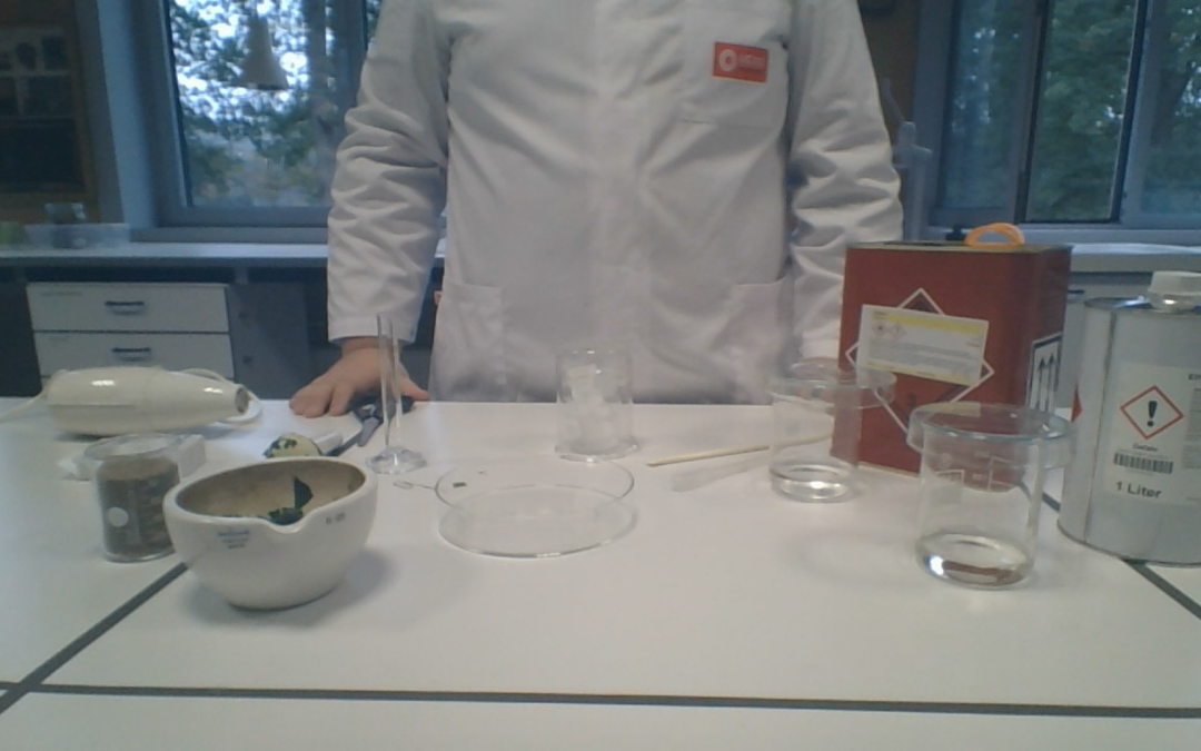Chromatografie van bladpigmenten