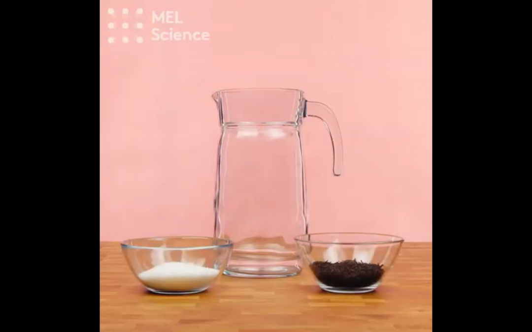 Kombucha