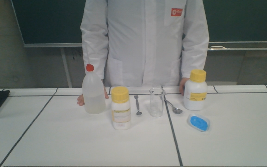 Traube cell