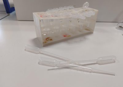 Decanteren eppendorf